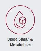 icon depicting blood sugar and metabolism