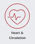 icon depicting heart and circulation